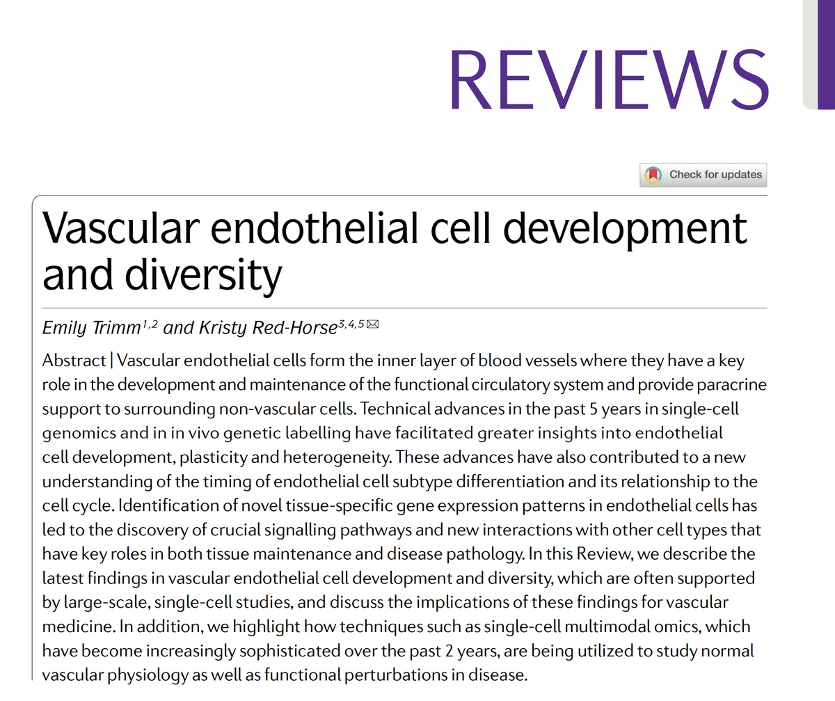 pnatarajanmd's tweet photo. New insights in vascular endothelial cell development &amp; diversity from single-cell genomics and in vivo genetic labeling https://t.co/IEj5LDlXch @NatRevCardiol E. Trimm @kristyredhorse @StanfordMed https://t.co/lupH76gdqi