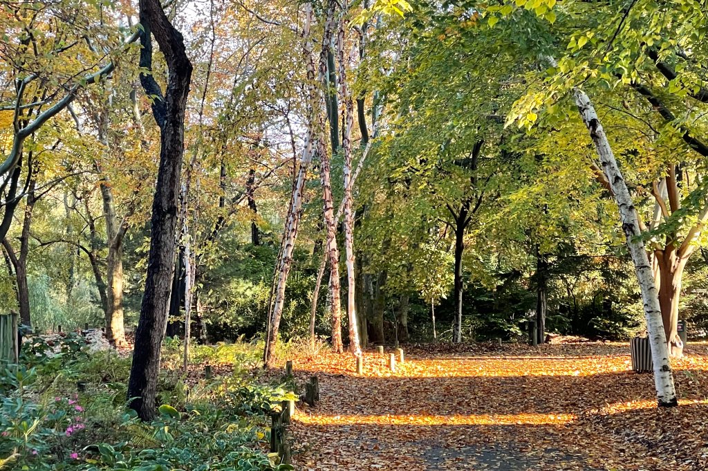 Queens Zoo on Twitter "The Queens Zoo is a perfect place to spend a fall day. Not only are