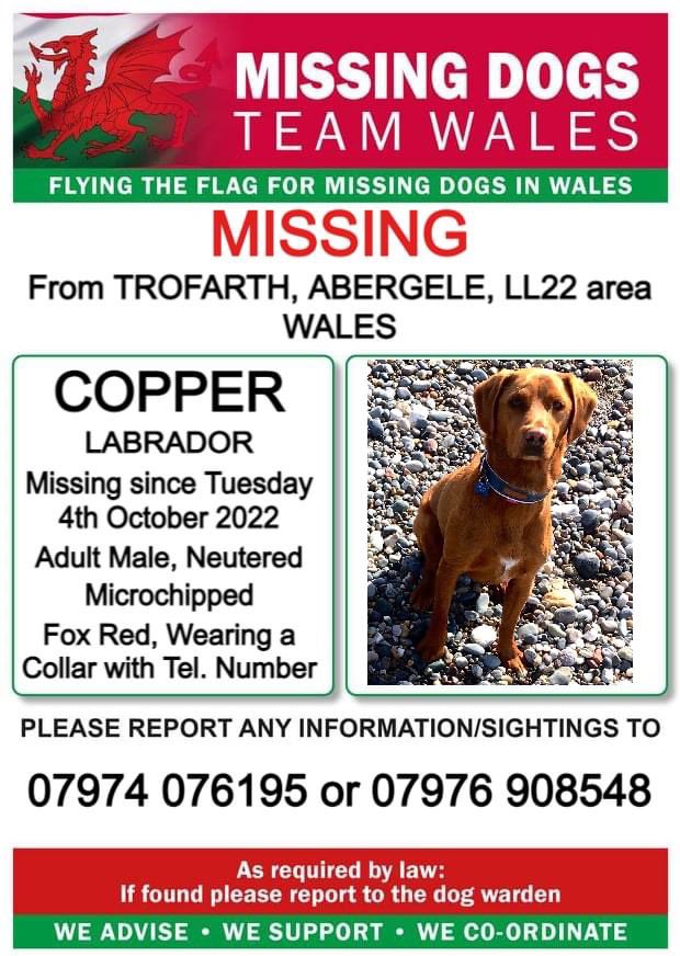 rosiedoc666's tweet image. COPPER MISSING #LL22 🏴󠁧󠁢󠁷󠁬󠁳󠁿 
❌SIGHTINGS ONLY-PLS DO NOT CHASE❌
#Trofarth #Abergele 
4/10/22 
#LABRADOR fox red colour 
Wearing collar/tag 
CHIPPED&amp;amp;NEUTERED 

m.facebook.com/groups/1919091…

@DTrofarth @AbergeleLadies @abergelepost @CarolPoyerPeett @AlanDaffern @JacquiSaid @thedogfinder