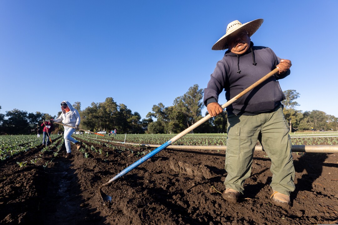 LookoutSCruz's tweet photo. Organic’s big South County moment: Might school-zone pesticide switch provide momentum for change? https://t.co/Zv688TuQa6 via @MarkConley, Part 2 of our "Seeds of Change" series https://t.co/uC2ntNodJF