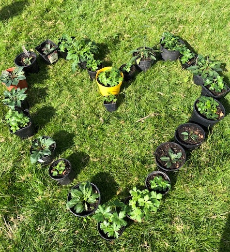 forestofbowland's tweet photo. Want to plan a mini wildflower meadow or pollinator patch but don't know where to start? Join Hay Time's, Carol Edmondson, online for free advice and inspiration! Wednesday 26th October, 1-2pm. https://t.co/hMcgF1CIuR @ydmt @PendleHillLP @BowlandNetwork @AONBFamily https://t.co/QZVuvLnqvO