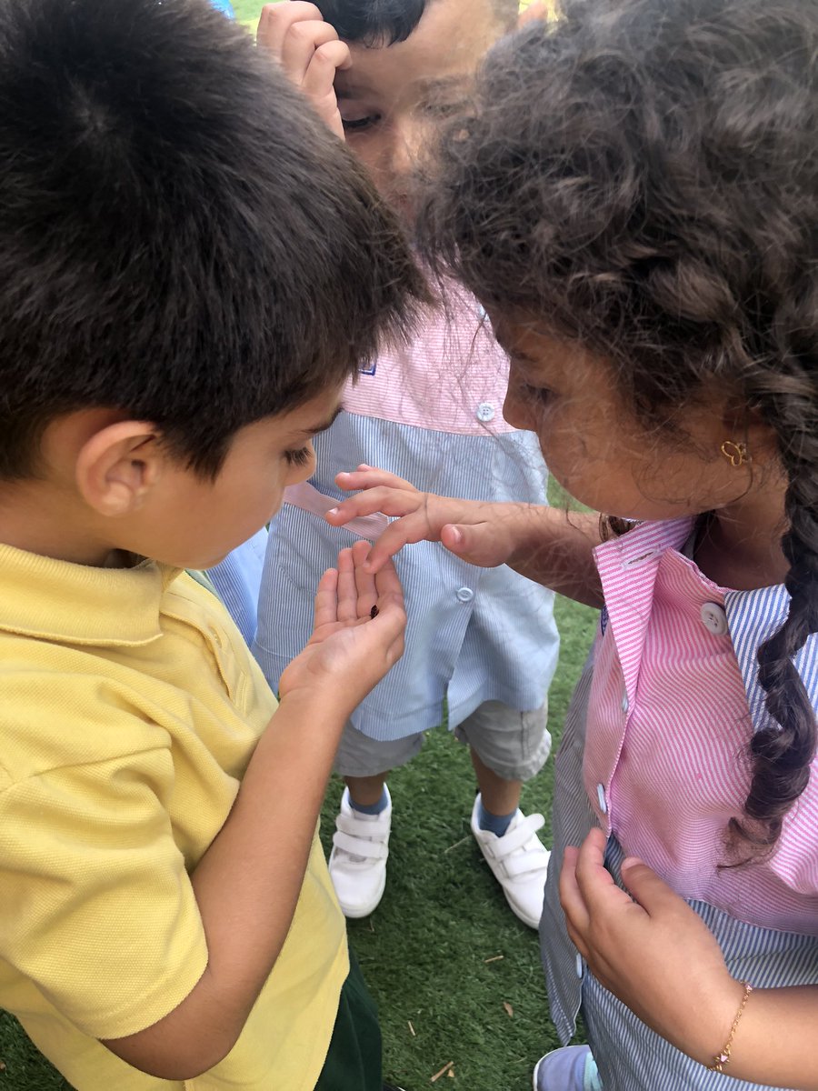 Their curiosity and caring profile couldn’t stop them from helping this little insect in their recess time! It started with helping 🤔&amp; ended with exploring&amp; discovering it more and more😀! #KG3C #Enthusiasm #Curiosity #Caring <a href="/tbaassiri/">Tharwat Baassiri</a> <a href="/Hhhsinfo/">Houssam Hariri HS</a> @reem_lutfi <a href="/TawilNoor/">Noor Taweel</a> <a href="/sashgh/">Sasha Ghosn</a>