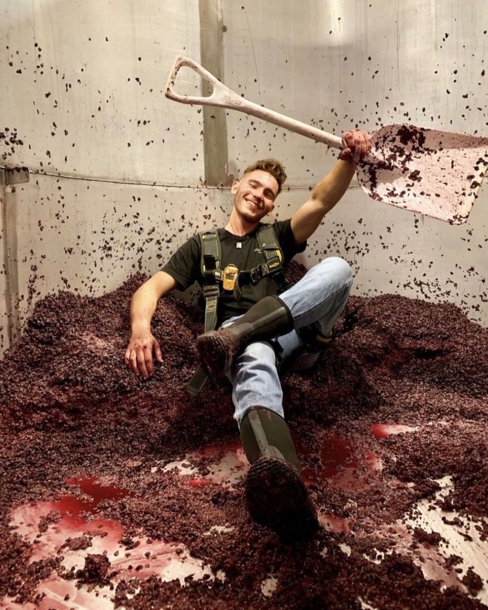 #Harvest season is often thought of as romantic and full of celebrations. In truth, harvest is a dirty job, the hours are long + the work is physically demanding. #Cheers to the people who get the job done. 
#farmerandfarmworkermonth <a href="/cagrownofficial/">CA GROWN</a>
📷: Clos du Val