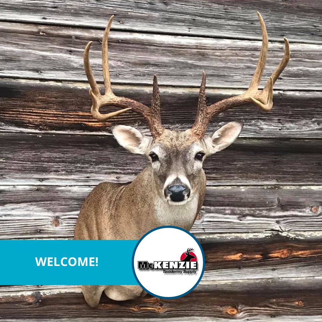 📣 We are super proud to announce our brand-new customer: <a href="/McKenzieSupply/">McKenzie Taxidermy Supply</a>! They are the largest Taxidermy Supplier in the industry. From taxidermy forms, reproductions, habitat materials, tanning products, they have it all. We are looking forward to collaborating with them!