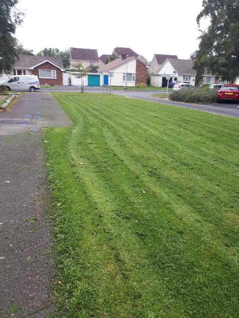 Keeping in touch with our residents out and about on our Cheddar Walkabout. <a href="/SianAmelia/">Bob Helper</a> and Gem B. And <a href="/SedgemoorDC/">SedgemoorDC</a> clean surroundings team doing a great job on the grass 👏. #goteamhis <a href="/HomesSedgemoor/">Homes in Sedgemoor</a>