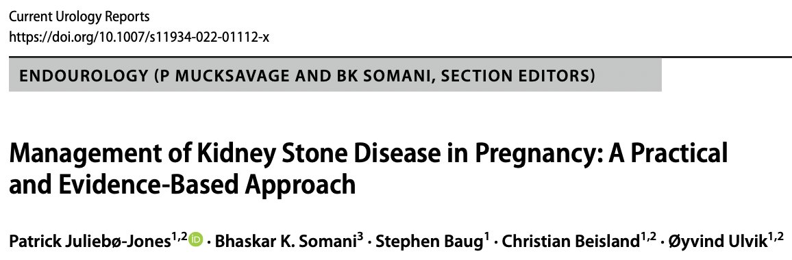 endouro's tweet photo. Kidney stones in Pregnancy - Practical, evidence based approach. @uropatrick @BeislandC @yvindUlvik @pmucksavage @Endo_Society @BAUSendourology @YAUEndourology @BAUSurology @Uroweb @eauesut @UrowebESU @eulis_uroweb @RDsouthampton @unisouthampton @JEndourology @ameliapietr1 https://t.co/JycSSoJPB5