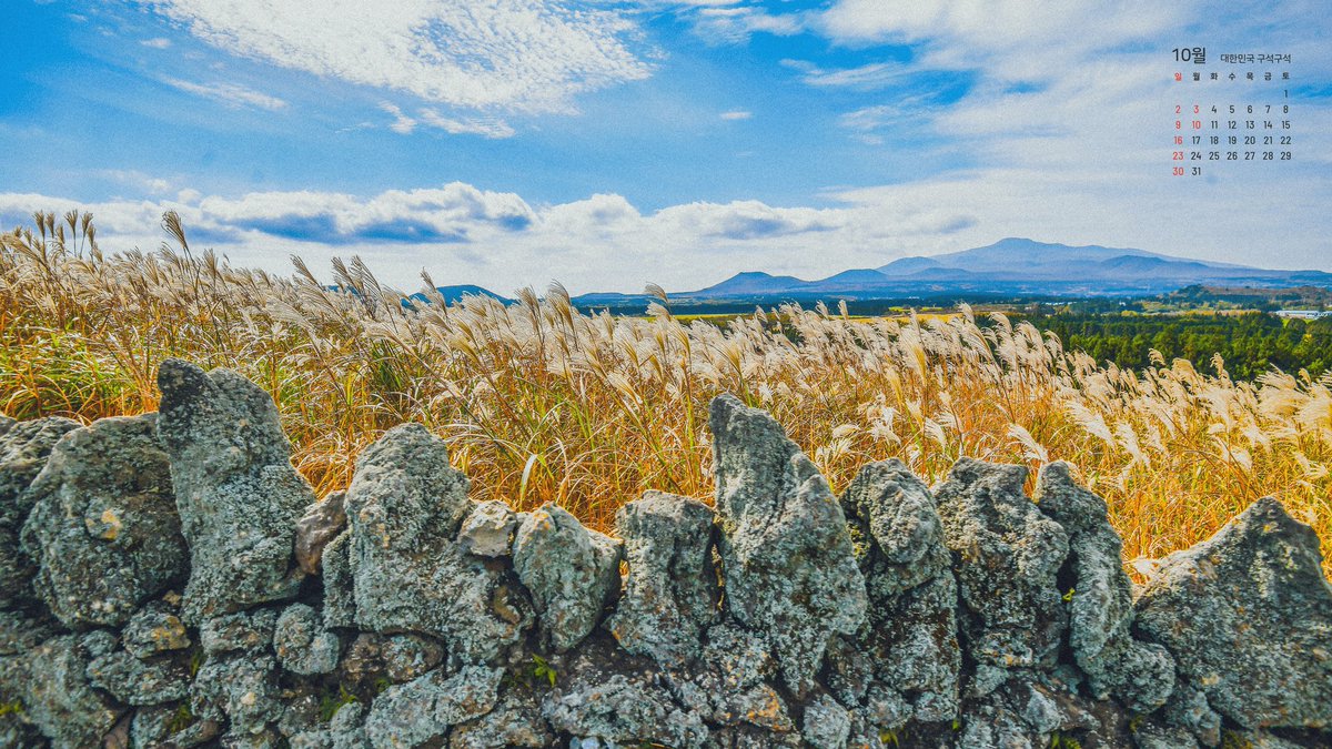 Iminofff's tweet image. #forpc