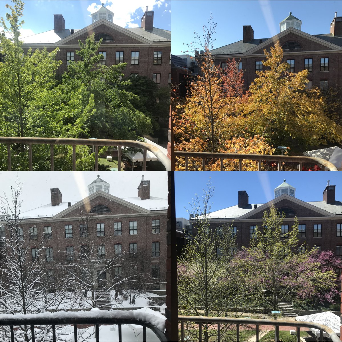 A year of looking out the window is good inspiration for my postdoc project - how do animals adapt to seasonal changes?