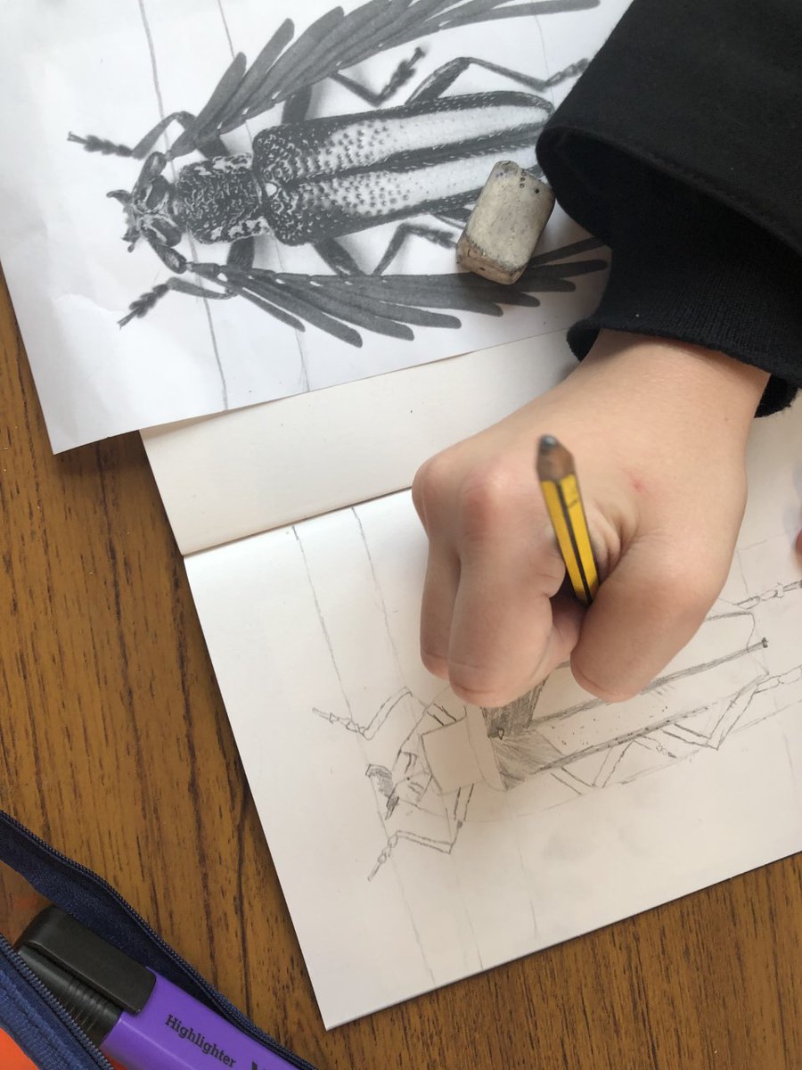 shavingtonart's tweet photo. Its that time of year again, year 7 have been impressing us with their amazing drawing skills this afternoon. Beautiful! https://t.co/pK23L2aefa