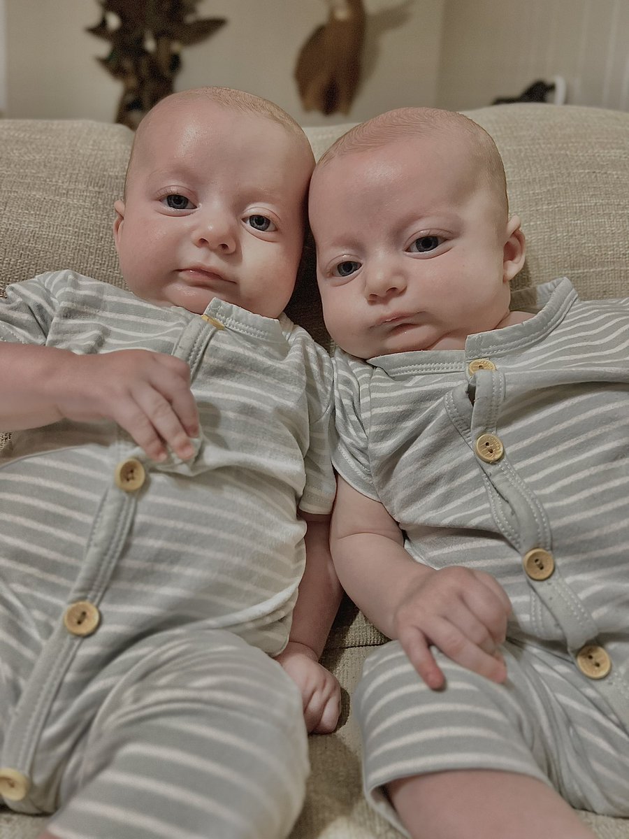 meg_authement's tweet photo. mommas sweet baby boys🤍 https://t.co/zHBOUIqIzt