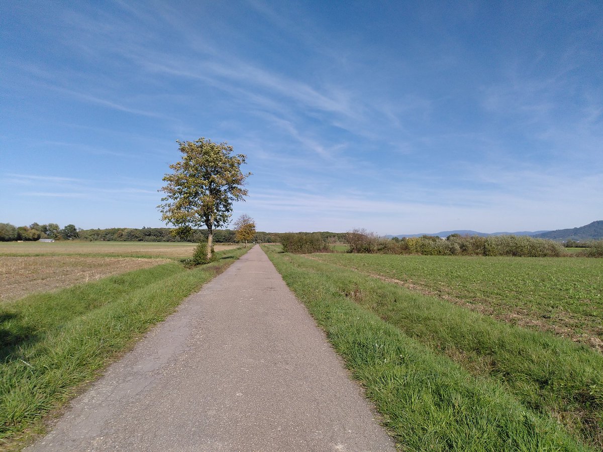 Und hier soll die neue Straße durch 👎