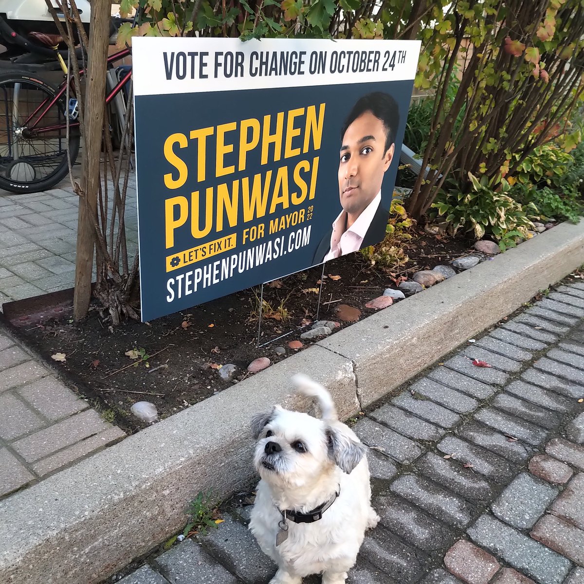 ARTnCOMMODITY's tweet photo. We are voting for Stephen Punwasi (@StephenPunwasi) and change. https://t.co/y1V3aFlQBp