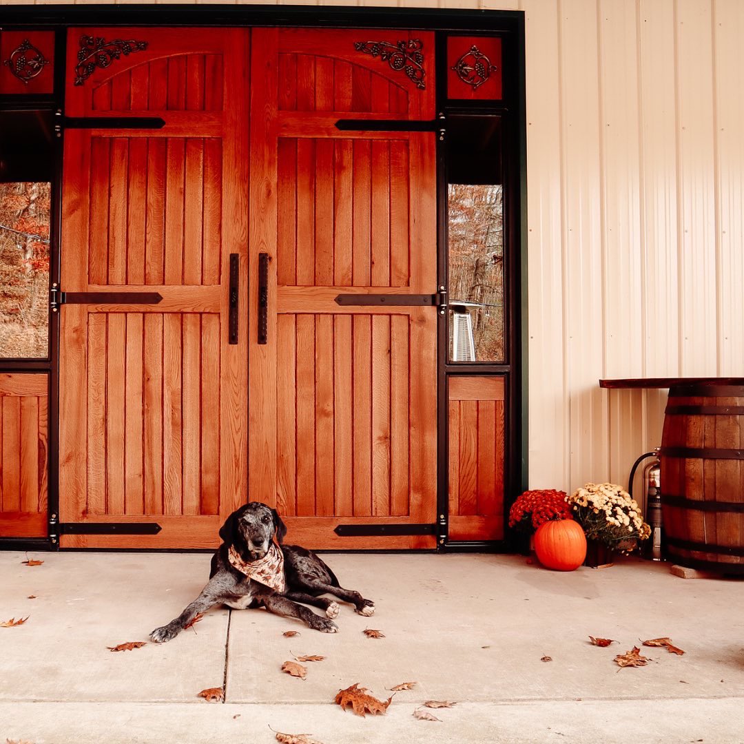 visitpkb's tweet image. Waiting outside WineTree Vineyards in Parkersburg, WV like…🍷⁣
⁣
winetreevineyards.com