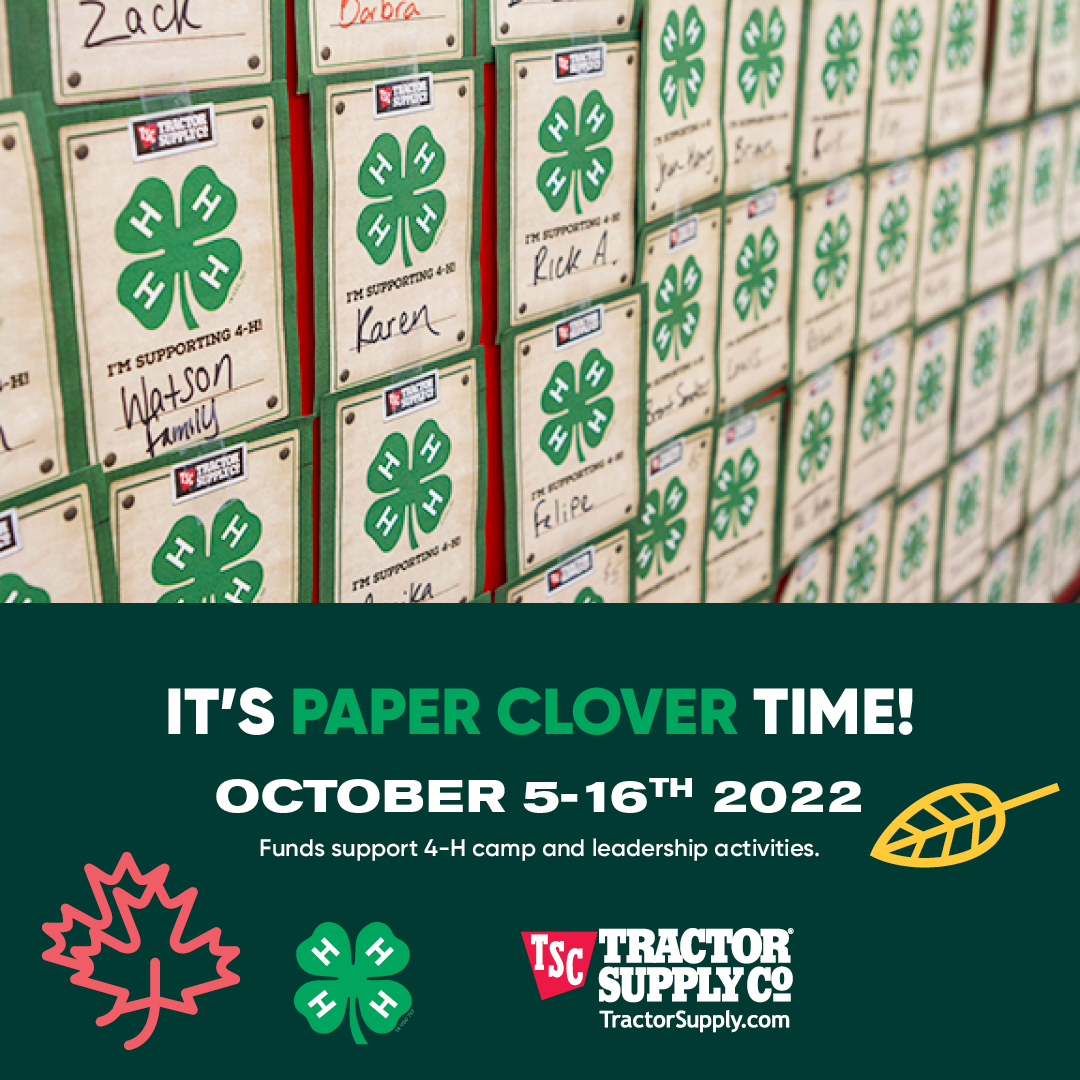 4-H (@4h) on Twitter photo Fall is here and Paper Clover season is in full swing! Head to your nearest <a href="/TractorSupply/">Tractor Supply</a> store NOW through October 16th and get your #4HPaperClover at checkout to show your support. 🍀💚🍀 Fall is here and Paper Clover season is in full swing! Head to your nearest <a href="/TractorSupply/">Tractor Supply</a> store NOW through October 16th and get your #4HPaperClover at checkout to show your support. 🍀💚🍀
