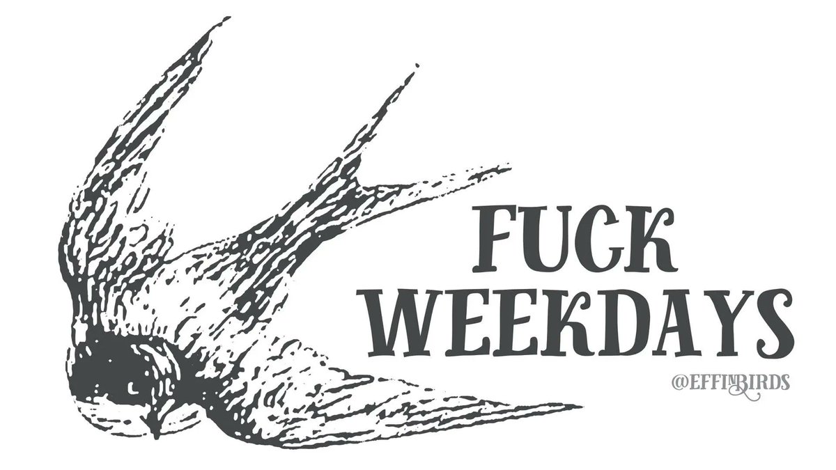 EffinBirds's tweet photo. https://t.co/CGTYrsSo3v