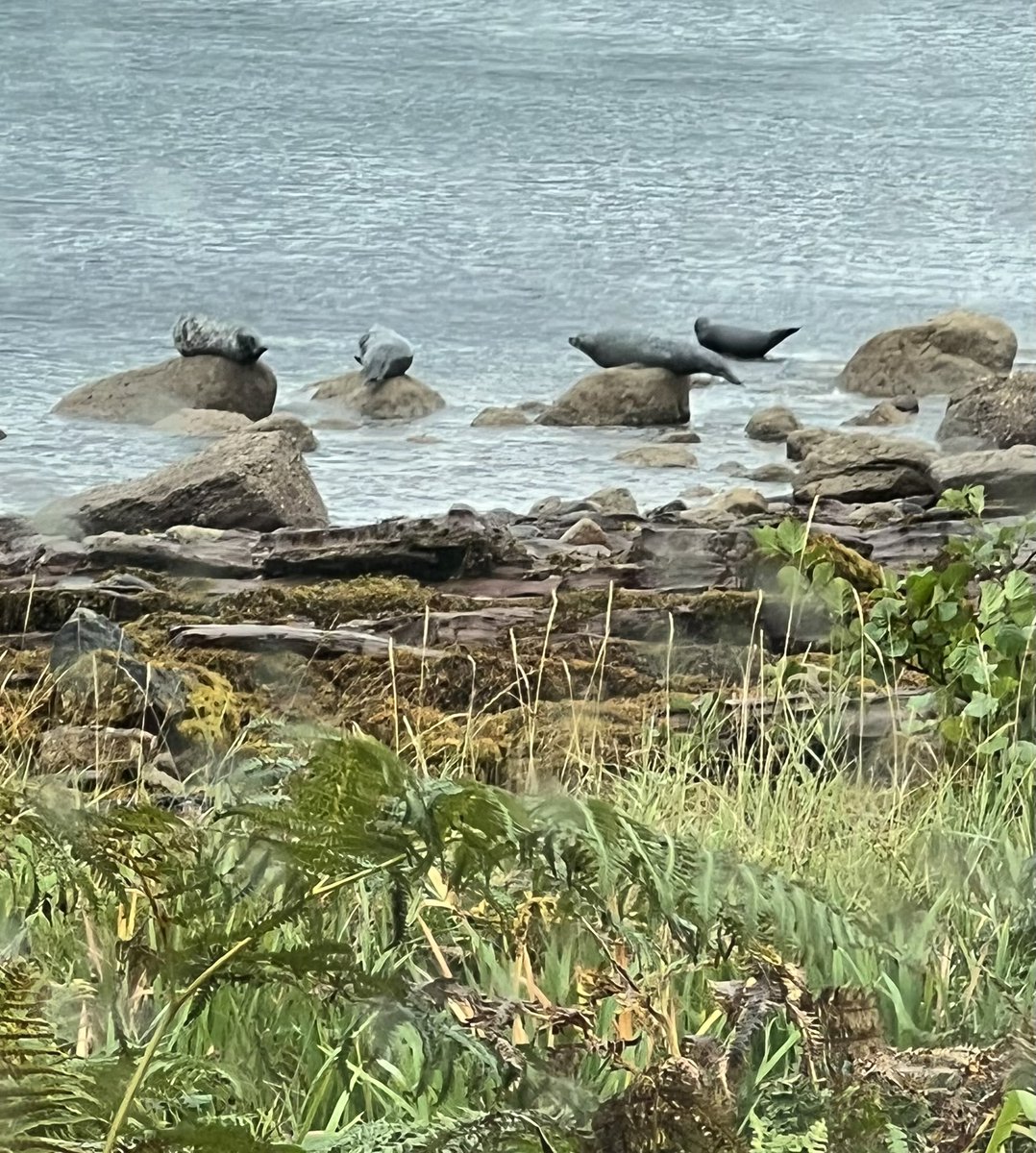 Day 5 of my retirement tour - a ride out to Lochranza and the Arran Distillery followed by wild life spotting on the way back