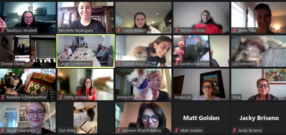 AneraOrg's tweet photo. Yesterday was #WorldAnimalDay. We celebrated today and brought our pets to our team meeting! Shout out to the furry friends of Anera. We love you! 😻 https://t.co/vLYiGtdylv