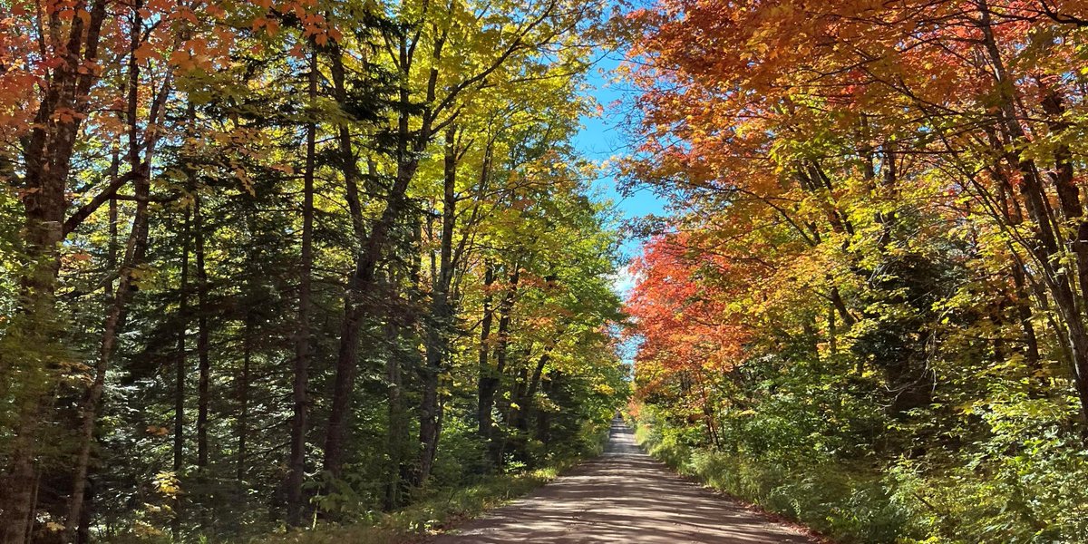 mnstateparks's tweet photo. Calling all leaf peeping photographers! 👀 🍂 📷
We want YOU to share your state park fall color photos.
Upload your photos and they could be featured in the fall color gallery!
https://t.co/ThGc4pKtAl
#YourMNFallFavorites #JustAddNature #MNStateParks #MNFall https://t.co/3CB3c5YQbV