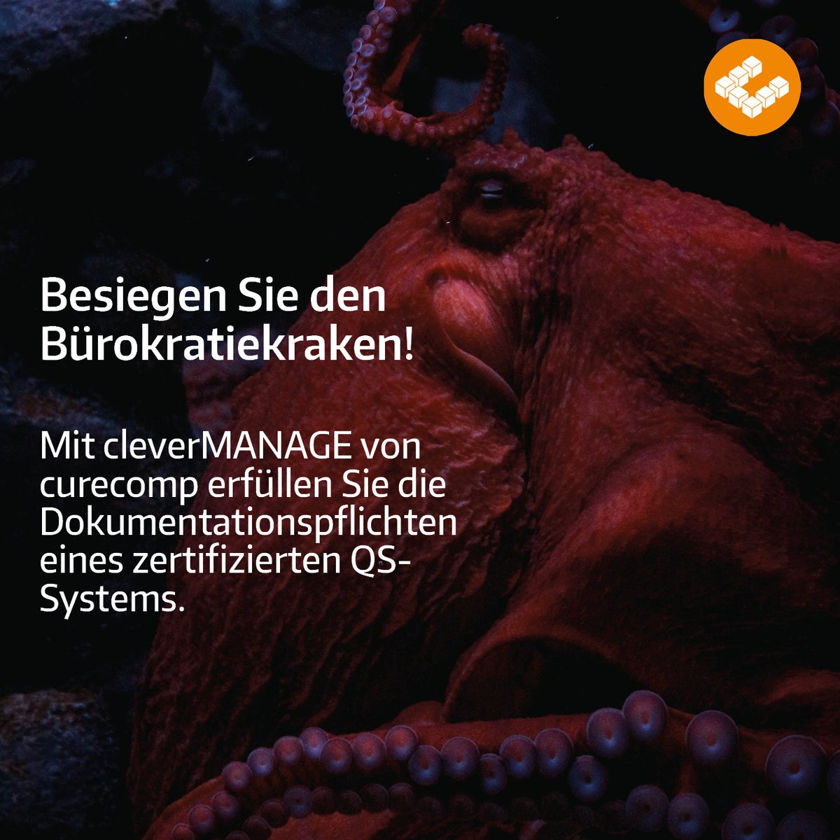 curecomp_at's tweet photo. Haben Sie ein zertifiziertes QS-System nach ISO 900x oder ISO 14.00x im Einsatz?

Dann trifft Sie die Pflicht, zu all Ihren Lieferanten diverse Zertifikate und Nachweise in Ihren Akten zu haben.

Wir machen's Ihnen leicht: Mit cleverMANAGE von curecomp.

https://t.co/EGyLn42qQ8 https://t.co/hYVWf1fAuk