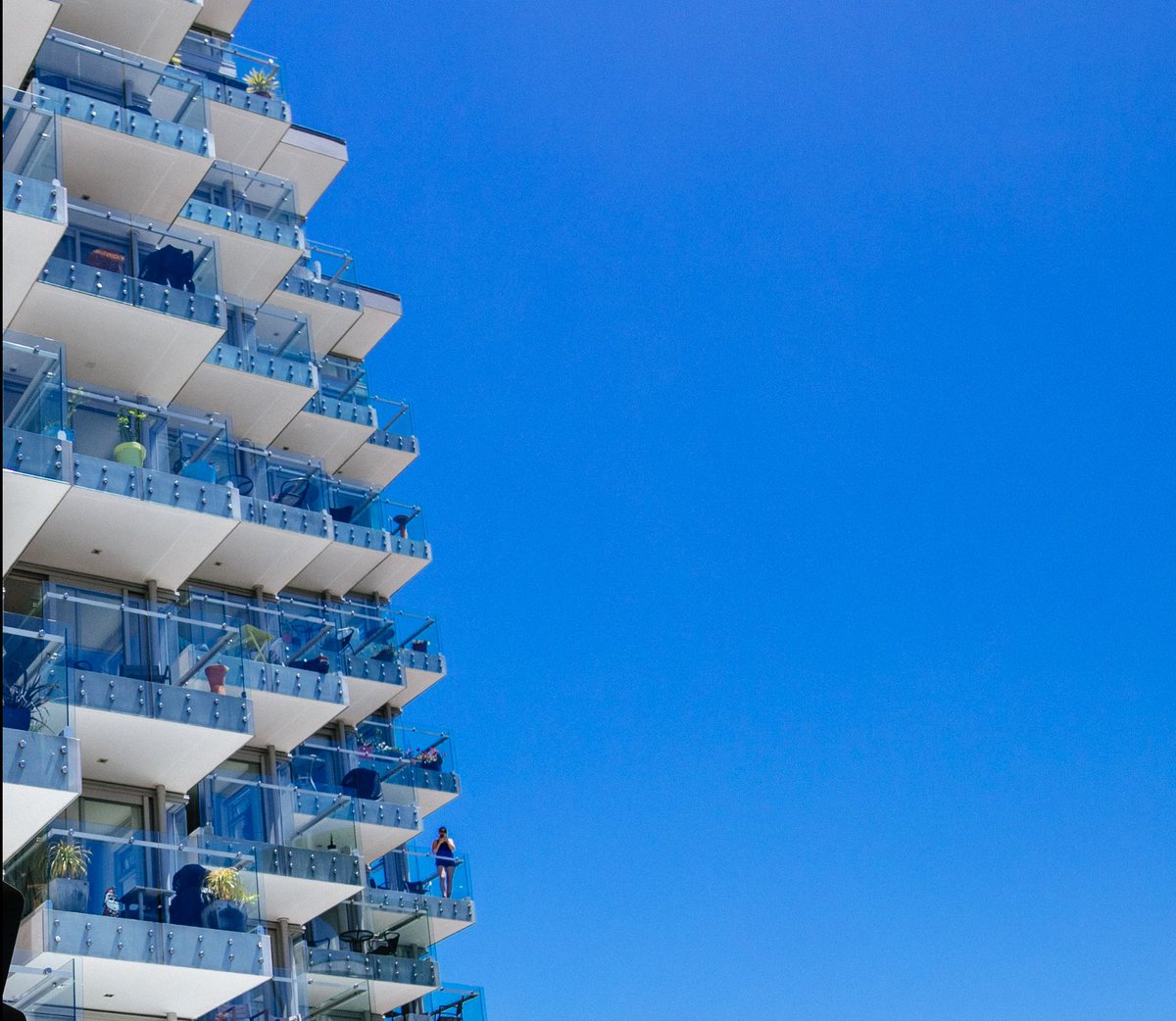 Forward Momentum, LLC tweet media