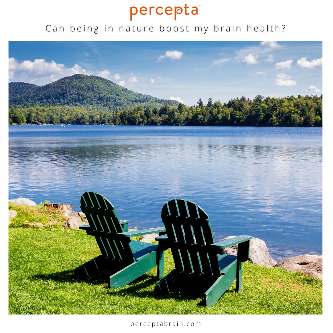 perceptabrain's tweet photo. Yes! “...interacting w/nature has cognitive benefits…experiments have found that being exposed to natural environments improves working #memory, cognitive flexibility &amp; attentional control” (Current Directions in Psychological Science) - https://t.co/ZZ6i5bqb9h

#Percepta https://t.co/itIM84Bwwo