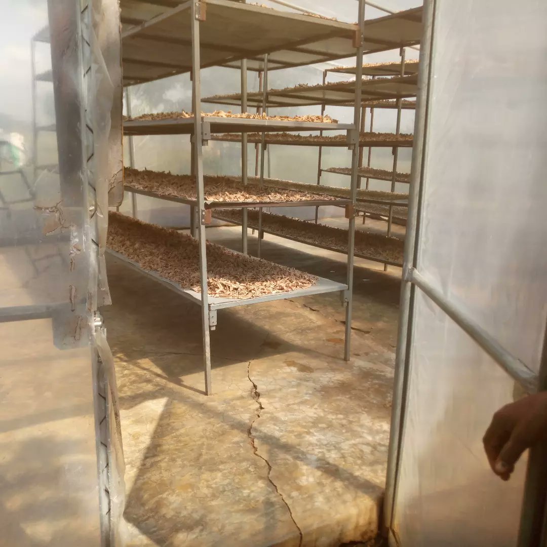 thamfarmltd's tweet photo. Drying bananas for food security.
#AtyDoh
#solardryer https://t.co/XSoTABKcFc