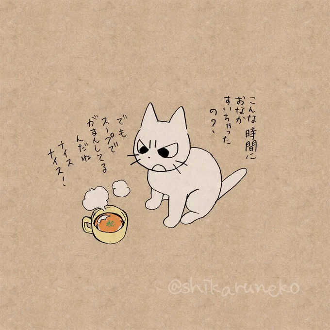 ヘルシーな夜食で我慢していたはずが結局ガッツリ食べている人を叱ってくれる猫 