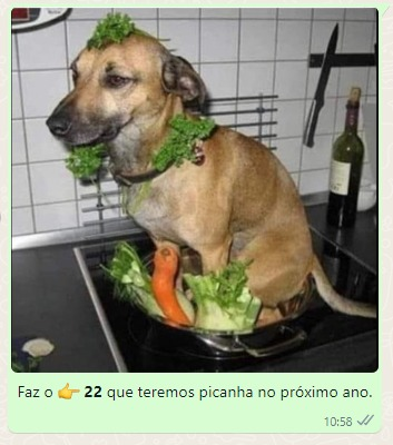 Sonateac's tweet photo. Faz o 22, vamos comer Picanha no próximo ano. #BolsonaroPresidente22 https://t.co/v36keIIN7K