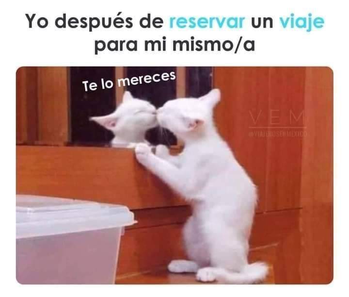 ✨✨¡Nos lo merecemos!✨✨

Fuente: @viajerosenmexico