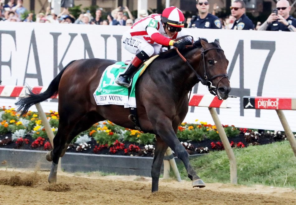 Coolmore America tweet media