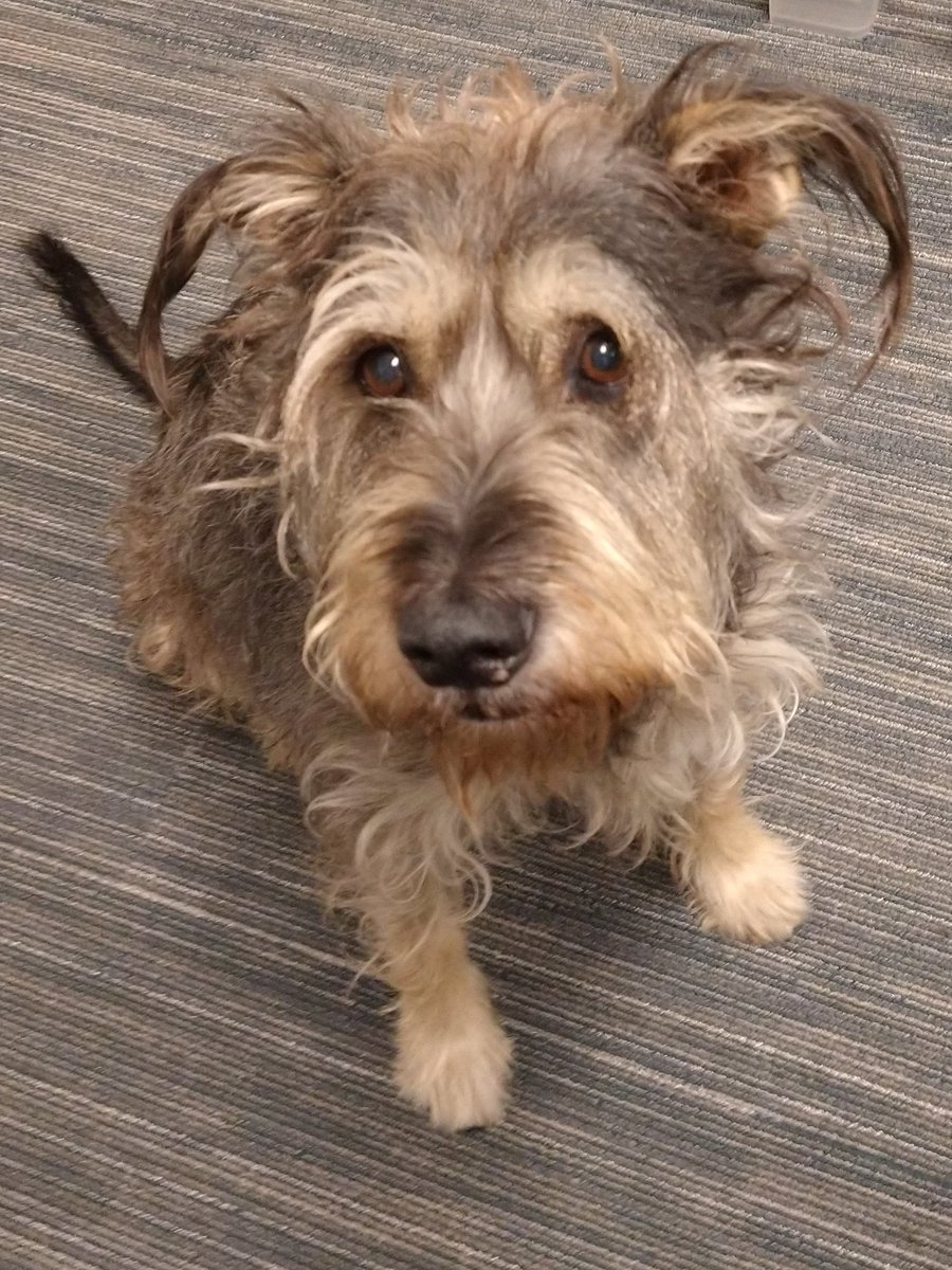 Liz_Demarest tweet media