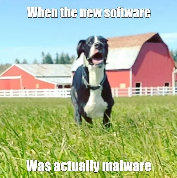 tommgarrison's tweet image. Every year, #CybersecurityAwarenessMonth provokes a kaleidoscope of reactions on Twitter. While many poke fun at it, many take it very seriously. What’s your take? buff.ly/3C1h6FC