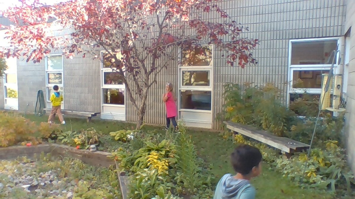 A beautiful morning for the students from Ms. Alkins class to have some outdoor letter fun with Bananagrams.  @OrchardParkPS  #beoutdoorable