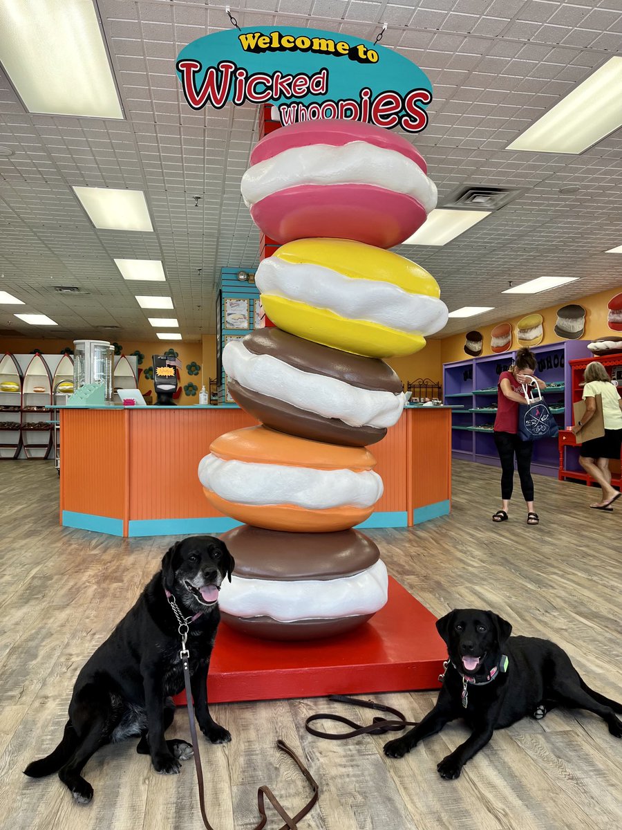 Dogs of the day - R&R at Wicked Whoopies in Freeport, ME  #wickedwhoopies #wickedwhoopiewednesday #dogsoftwitter #labradorretriever #labs #blackdogs #blackdog