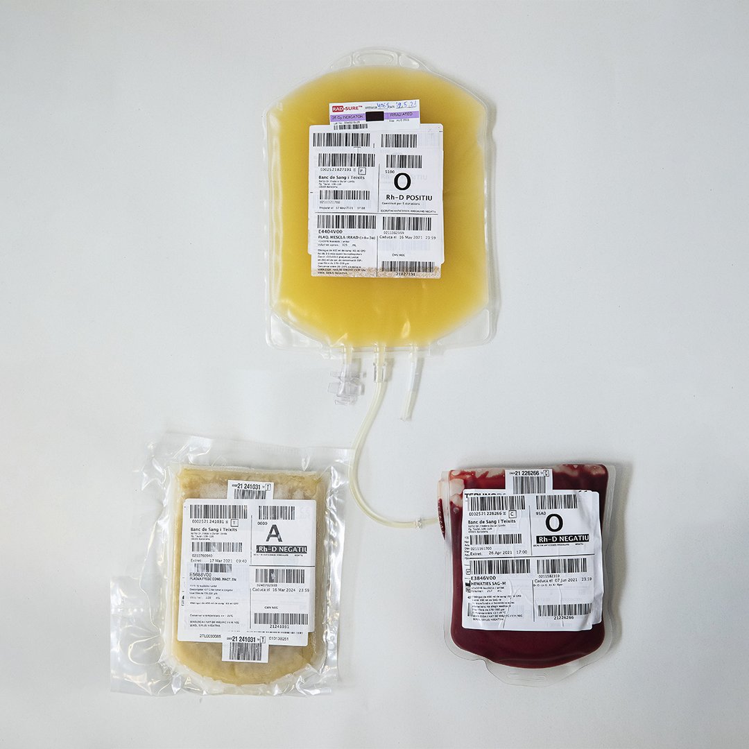 fcarreras's tweet photo. ¿Sabíais que que cada donación de sangre salva 3 vidas?

Donas plaquetas, imprescindibles en los tratamientos oncológicos. 
Donas plasma, vital para muchos tratamientos de problemas de coagulación. Y donas glóbulos rojos.

¿Has mirado si ya puedes volver a donar?
@donarsang 🩸 https://t.co/5lvt7Ye6n4