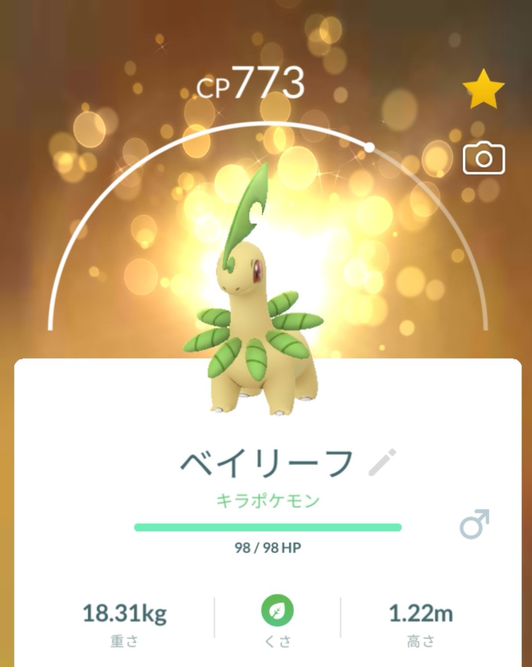 ベイリーフ Twitter Search Twitter