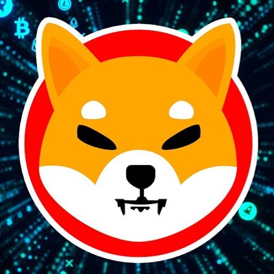 Mr.Shiba inu tweet media