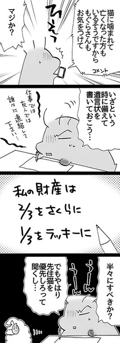 四コマ「改宗した4」

ご心配下さった皆様ありがとうございます。
他に遺言状に書くことは特にない。

#御かぞくさま御いっこう #四コマ漫画 