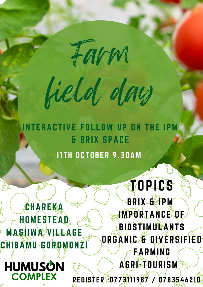 Ishmael Rupanga tweet media