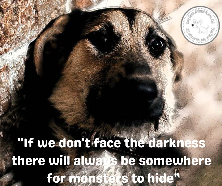 Why Do Puppies Hide Their Face