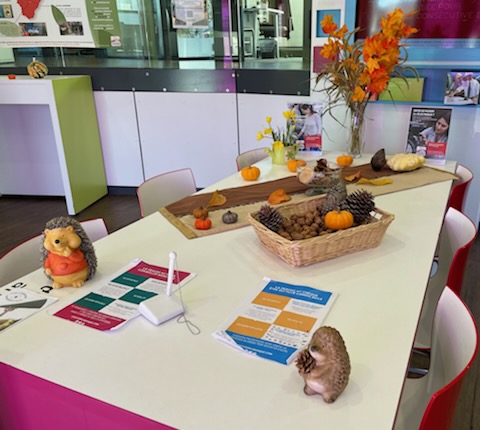 Le mois d'octobre c'est aussi le début de l'automne ! <a href="/CMSOMadeleine/">Agence CMSO de la Madeleine</a> se parre donc de jolis décors de saison pour égayer notre accueil !