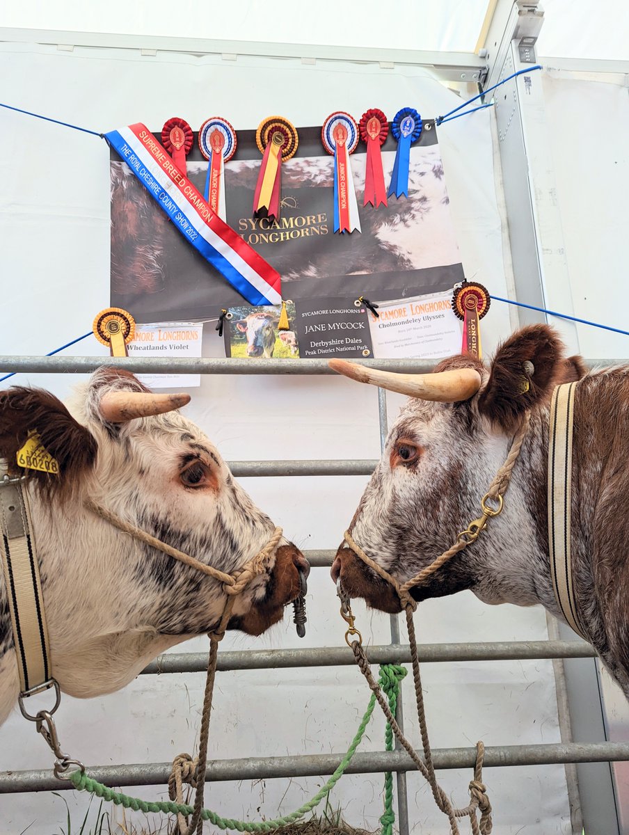 The 'small herd' 'large herd' and 'shows' categories of our photo competiton are up on our Facebook page, head over there like your favourites and the photo with the most likes will win it's category.  Only two categories to go, they'll be up later today.
facebook.com/profile.php?id…