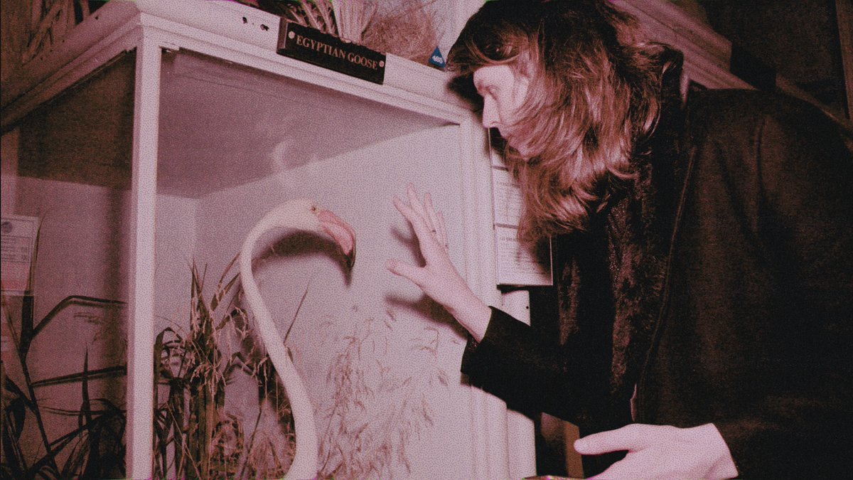 Nancy (<a href="/hihelloitsnancy/">Nancy</a>) offers up new track 'English Leather'. diymag.com/2022/10/05/nan…