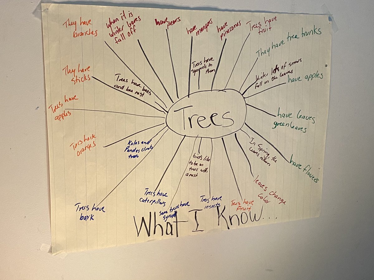 MillerLTES's tweet photo. Beautiful example of planning with students in Ms. Campbell’s class. #ReggioEmilia #Reggio ⁦@LudlowPto⁩ https://t.co/ZSwSRDp2iS