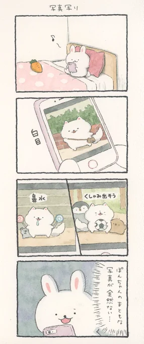 4コマ漫画「写真写り」 