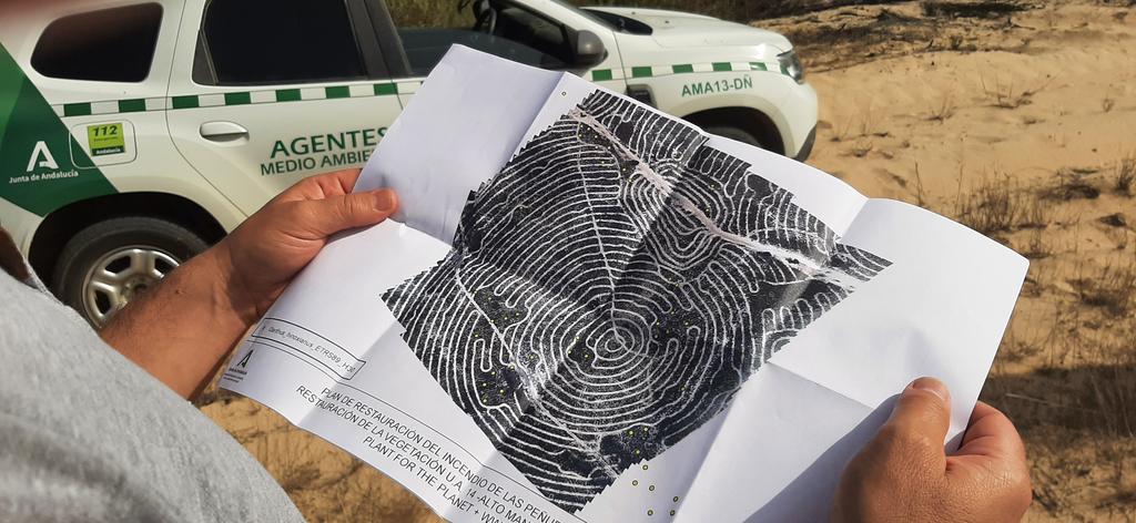 El_Batefuegos's tweet photo. #Emergencias
#IIFF
#SECOMIIFF
#IFMoguer #IFMazagón #Doñana
Impresionante el trabajo de repoblación.
@OsboDigital
@CILIFO_UE
@Plan_INFOCA
@E112Andalucia
@AAMM_And
@OsboDigital @GaloisioA @Fogatillas @AntMaldoMor @Fundacion_ONCE https://t.co/DtPFl34E40