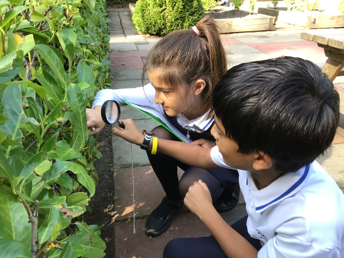 BSNJSV's tweet photo. #JSVYear4 have been studying how we classify animals. Here are students from 4ZR exploring the quiet garden for invertebrates as part of their science lesson. https://t.co/oxC6gACBxb