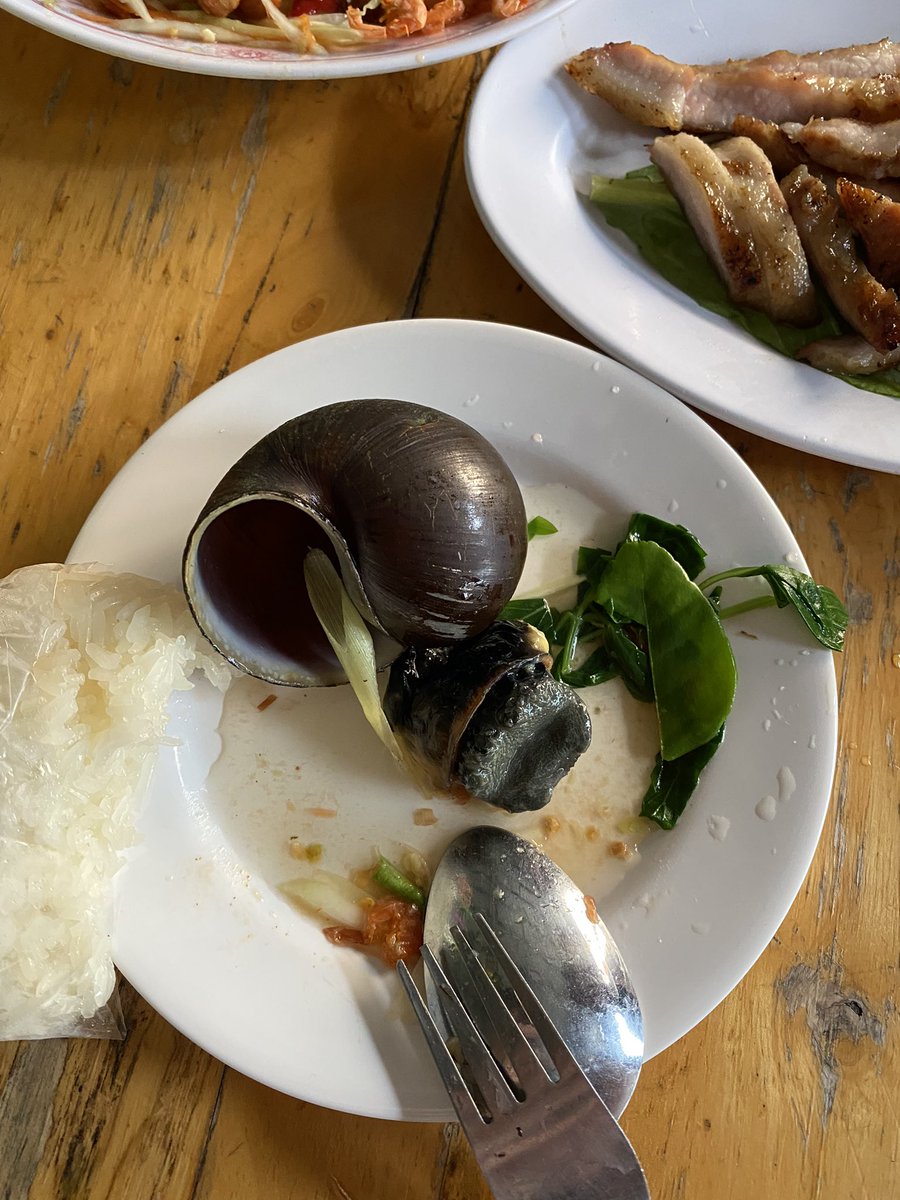 gaia16101's tweet photo. 初めての巨大カタツムリと牛の乳焼き。
イサーン料理らしい https://t.co/NuIda26Vu0