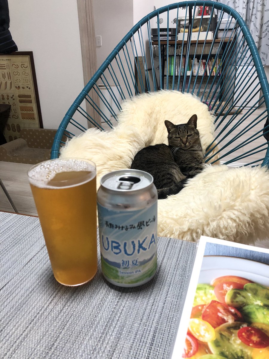 kohanosuke2016's tweet photo. 猫見酒 https://t.co/KUOrBQsUKx