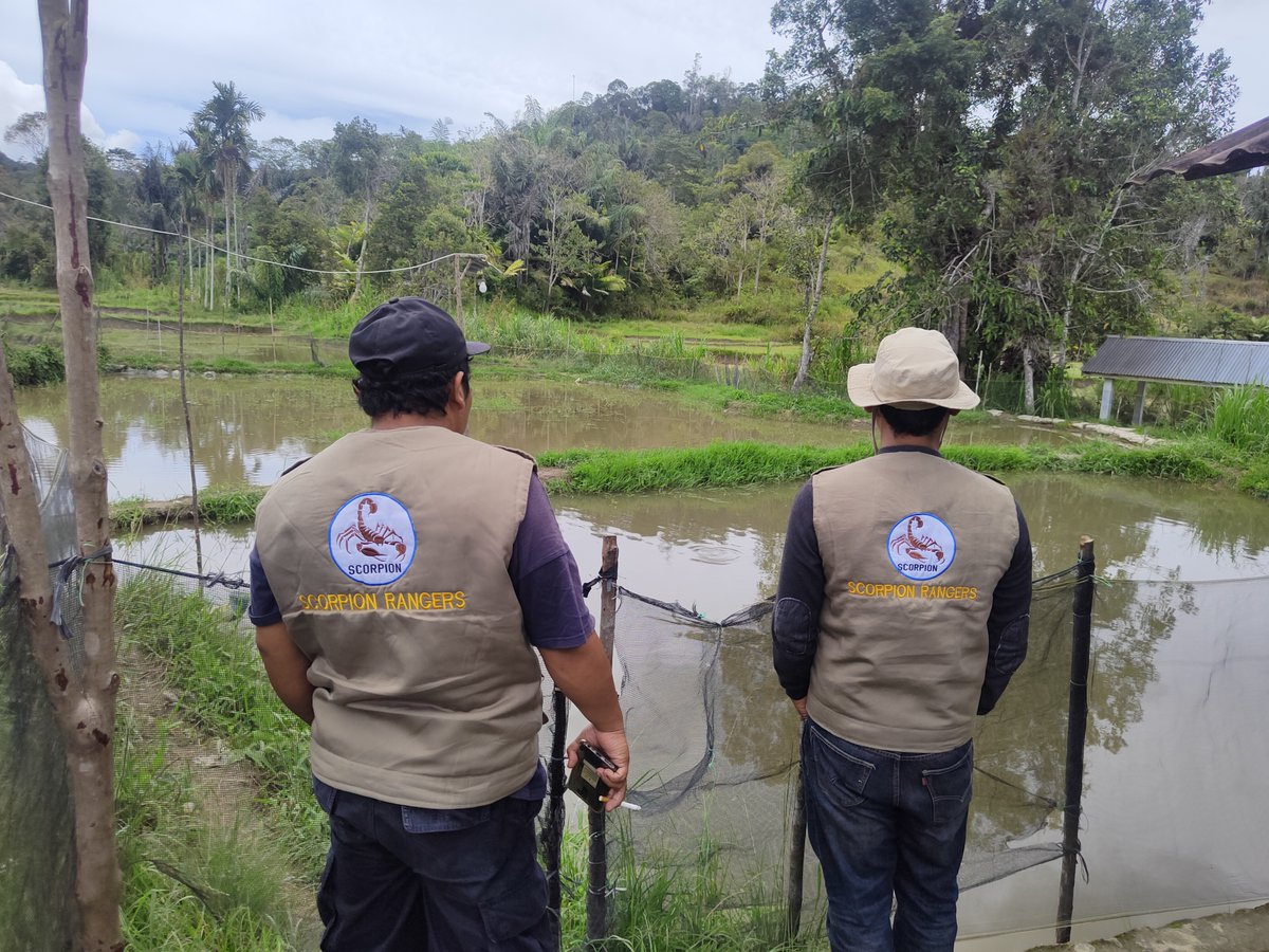 On Friday 30 September 2022 the Scorpion Indonesia Foundation team visited this village to monitor the development of potato farming activities and freshwater aquaculture. During this visit, the fish feed was also handed over to the Subur and Makmur farmer groups.